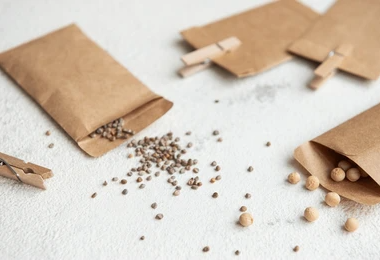 Different varieties of seeds spilling out of seed packets