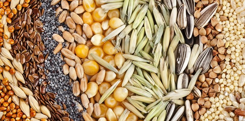 Varieties of seeds in rows